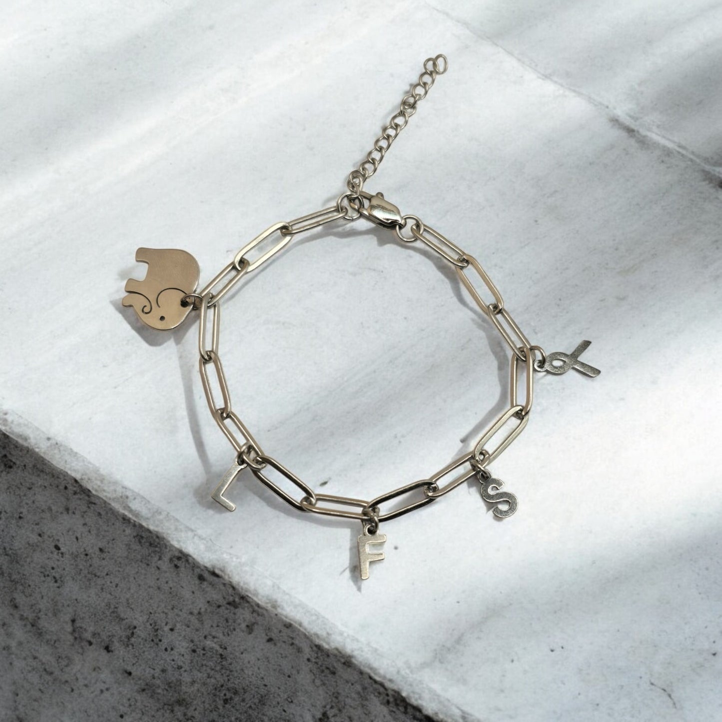 Bracelet Solidaire LFS Maille trombone
